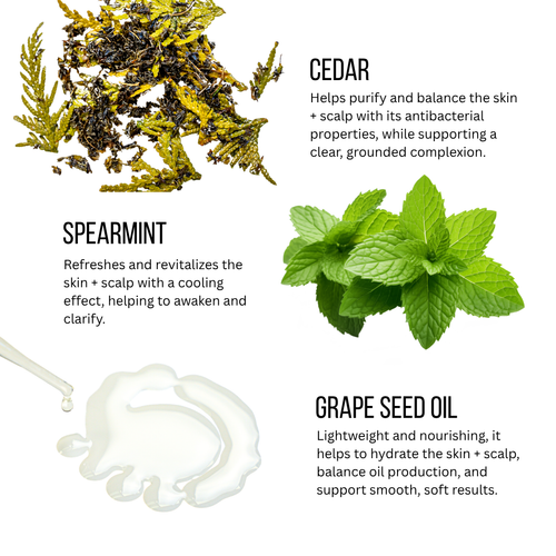 Botanical Conditioner BALANCE for skin and scalp